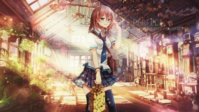  你做出最疯狂的事情是什么?